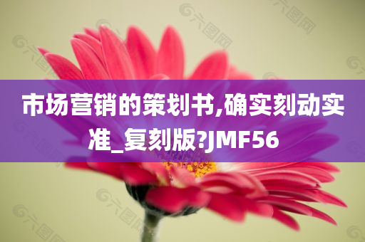 市场营销的策划书,确实刻动实准_复刻版?JMF56
