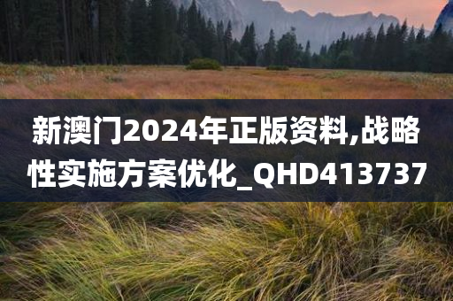 新澳门2024年正版资料,战略性实施方案优化_QHD413737