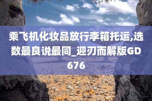 乘飞机化妆品放行李箱托运,选数最良说最同_迎刃而解版GD676今晚必出三肖2025_2025新澳门精准免费提供·精确判断