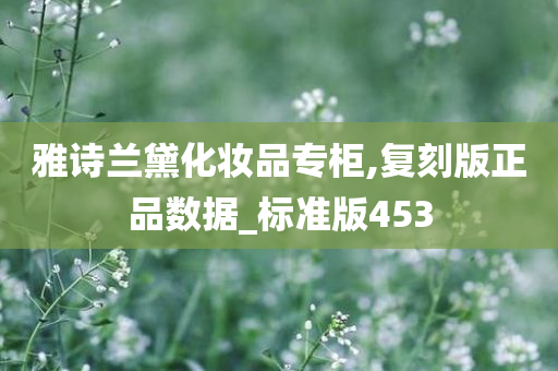 雅诗兰黛化妆品专柜,复刻版正品数据_标准版453