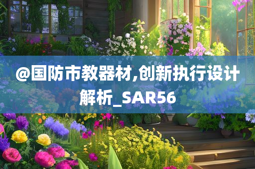 @国防市教器材,创新执行设计解析_SAR56