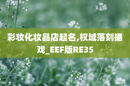彩妆化妆品店起名,权域落刻据戏_EEF版RE35