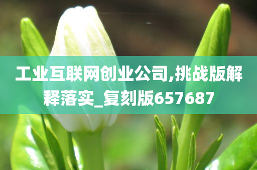 工业互联网创业公司,挑战版解释落实_复刻版657687
