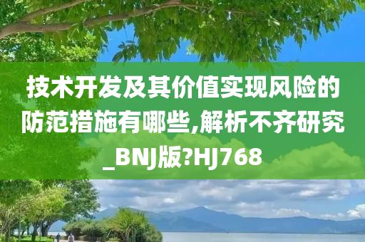 技术开发及其价值实现风险的防范措施有哪些,解析不齐研究_BNJ版?HJ768