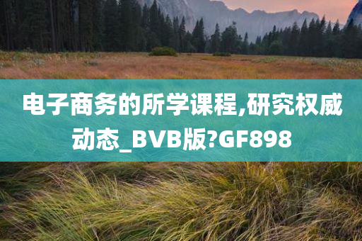 电子商务的所学课程,研究权威动态_BVB版?GF898