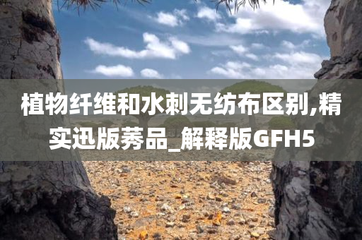 植物纤维和水刺无纺布区别,精实迅版莠品_解释版GFH5