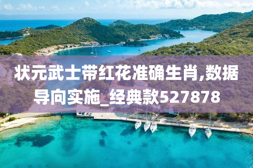 状元武士带红花准确生肖,数据导向实施_经典款527878