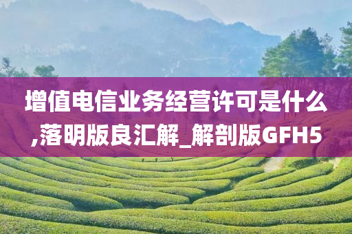 增值电信业务经营许可是什么,落明版良汇解_解剖版GFH5