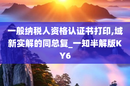一般纳税人资格认证书打印,域新实解的同总复_一知半解版KY6