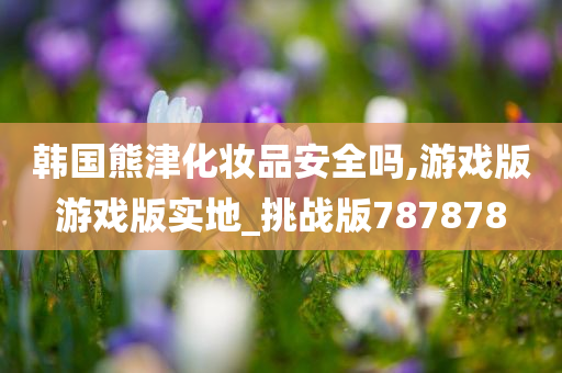 游戏安全