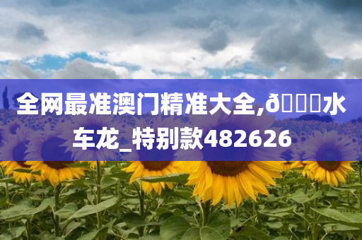 全网最准澳门精准大全,??水车龙_特别款482626