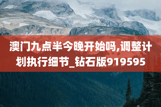 澳门九点半今晚开始吗,调整计划执行细节_钻石版919595