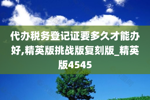 代办税务登记证要多久才能办好,精英版挑战版复刻版_精英版4545