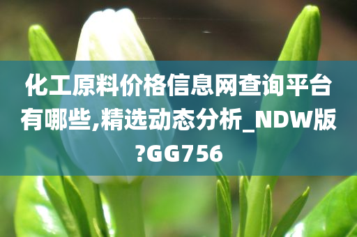 化工原料价格信息网查询平台有哪些,精选动态分析_NDW版?GG756