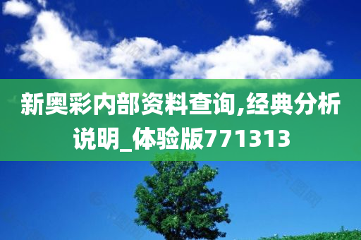 新奥彩内部资料查询,经典分析说明_体验版771313
