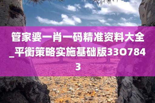 管家婆一肖一码精准资料大全_平衡策略实施基础版33O7843