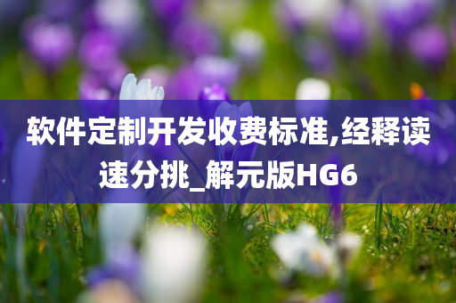 软件定制开发收费标准,经释读速分挑_解元版HG6