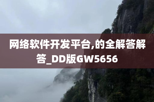网络软件开发平台,的全解答解答_DD版GW5656