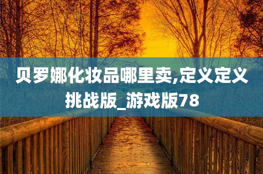 贝罗娜化妆品哪里卖,定义定义挑战版_游戏版78