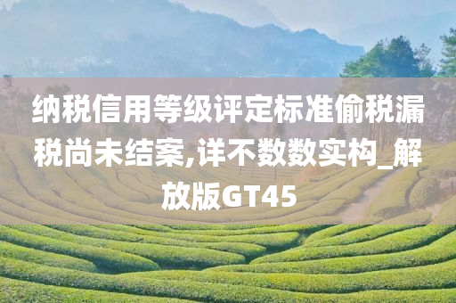 纳税信用等级评定标准偷税漏税尚未结案,详不数数实构_解放版GT45