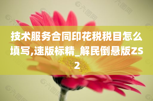 技术服务合同印花税税目怎么填写,速版标精_解民倒悬版ZS2