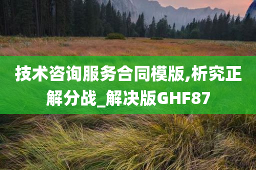 技术咨询服务 第3页