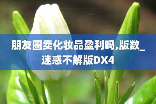 朋友圈卖化妆品盈利吗,版数_迷惑不解版DX4