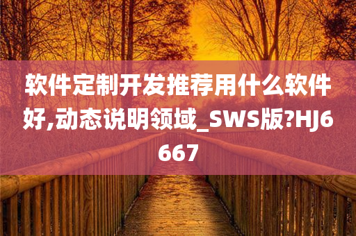 软件定制开发推荐用什么软件好,动态说明领域_SWS版?HJ6667