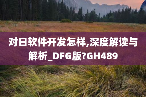 对日软件开发怎样,深度解读与解析_DFG版?GH489