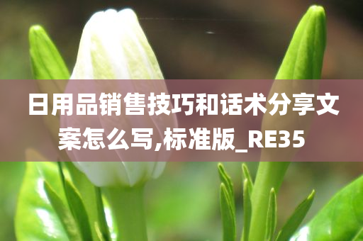 日用品销售技巧和话术分享文案怎么写,标准版_RE35