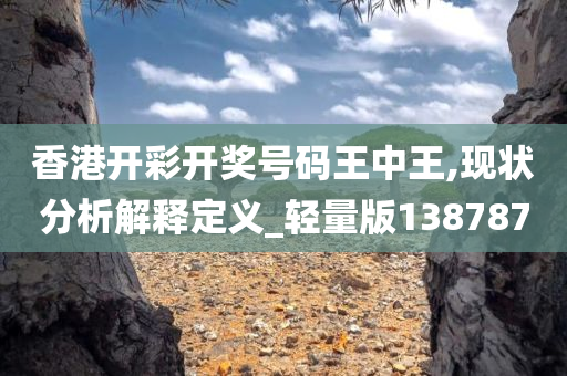 香港开彩开奖号码王中王,现状分析解释定义_轻量版138787