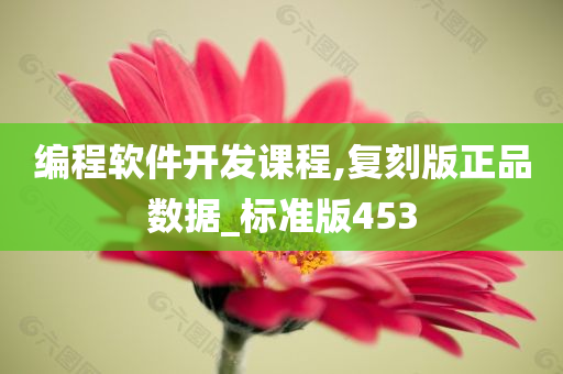 编程软件开发课程,复刻版正品数据_标准版453