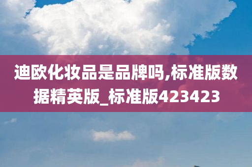 迪欧化妆品是品牌吗,标准版数据精英版_标准版423423
