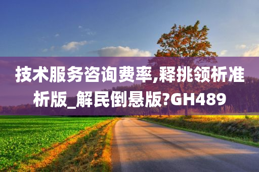 技术服务咨询费率,释挑领析准析版_解民倒悬版?GH489