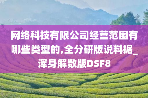 网络科技有限公司经营范围有哪些类型的,全分研版说料据_浑身解数版DSF8