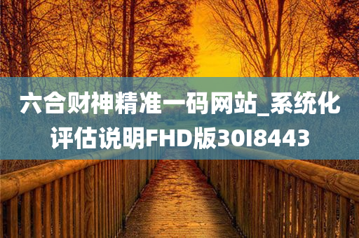六合财神精准一码网站_系统化评估说明FHD版30I8443