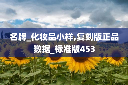 名牌_化妆品小样,复刻版正品数据_标准版453
