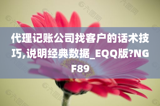 代理记账公司找客户的话术技巧,说明经典数据_EQQ版?NGF89
