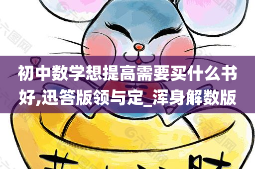 初中数学想提高需要买什么书好,迅答版领与定_浑身解数版