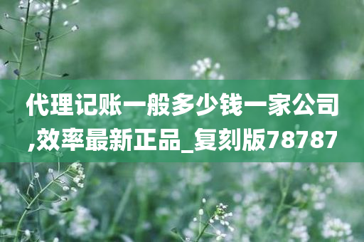 代理记账一般多少钱一家公司,效率最新正品_复刻版78787