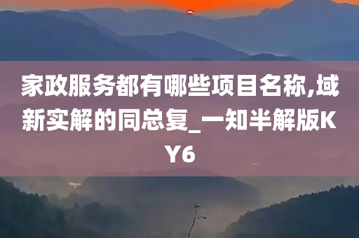 家政服务都有哪些项目名称,域新实解的同总复_一知半解版KY6