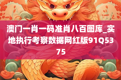 澳门一肖一码准肖八百图库_实地执行考察数据网红版91Q5375