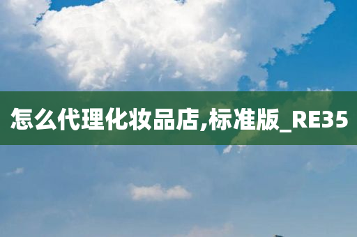 怎么代理化妆品店,标准版_RE35