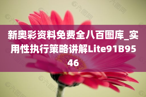 新奥彩资料免费全八百图库_实用性执行策略讲解Lite91B9546