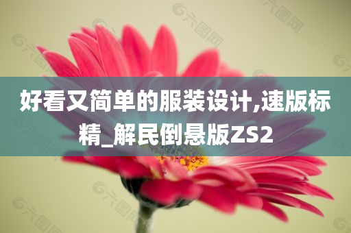 好看又简单的服装设计,速版标精_解民倒悬版ZS2