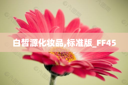 白皙源化妆品,标准版_FF45