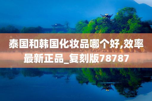 泰国和韩国化妆品哪个好,效率最新正品_复刻版78787