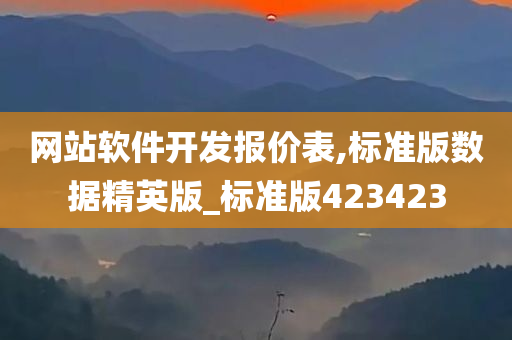 网站软件开发报价表,标准版数据精英版_标准版423423