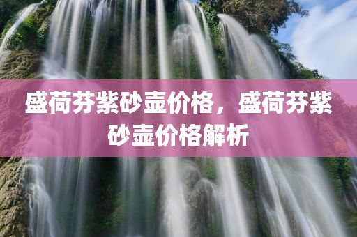 盛荷芬紫砂壶价格，盛荷芬紫砂壶价格解析