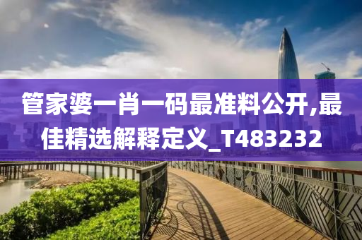 管家婆一肖一码最准料公开,最佳精选解释定义_T483232